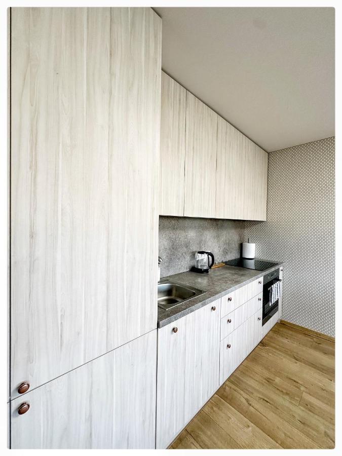 Apartaments In The City Centre Kaunas Esterno foto