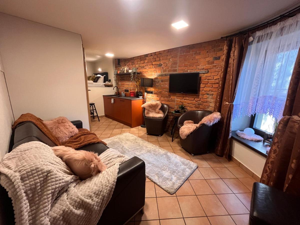 Apartaments In The City Centre Kaunas Esterno foto