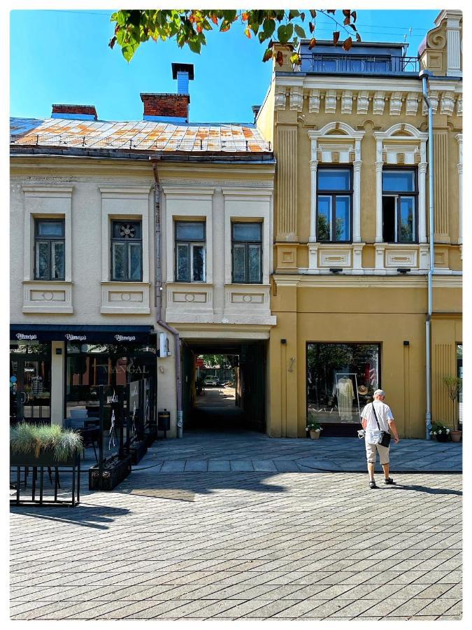 Apartaments In The City Centre Kaunas Esterno foto